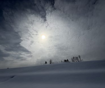 豪雪